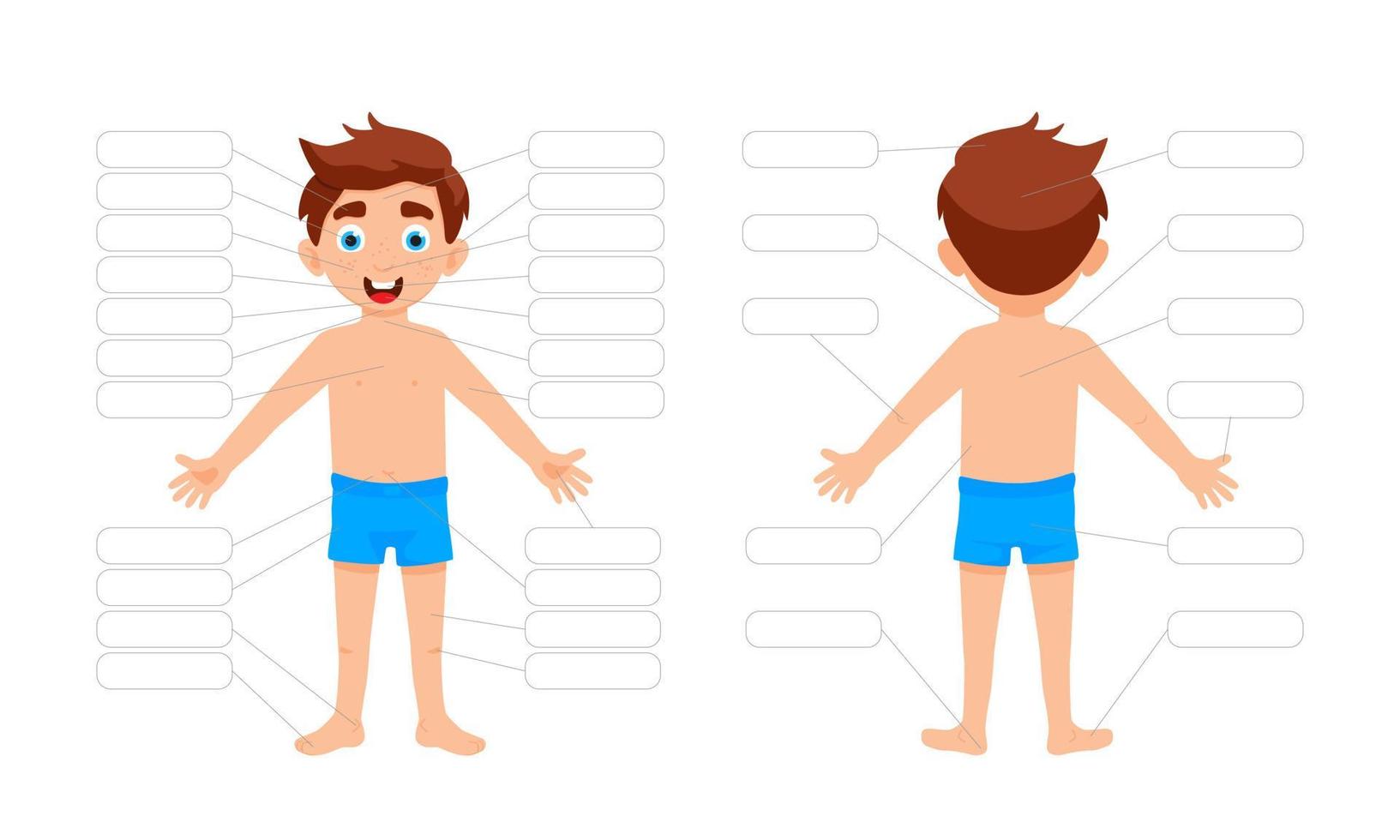 My body poster with cute kid boy shows his body parts medical anatomy chart placard or poster. vector