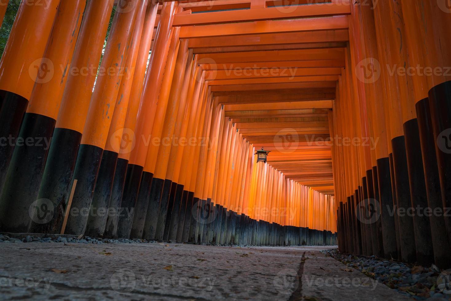 The red torii gates walkway path at fushimi inari taisha shrine the one of attraction  landmarks for tourist in Kyoto, Japan. photo