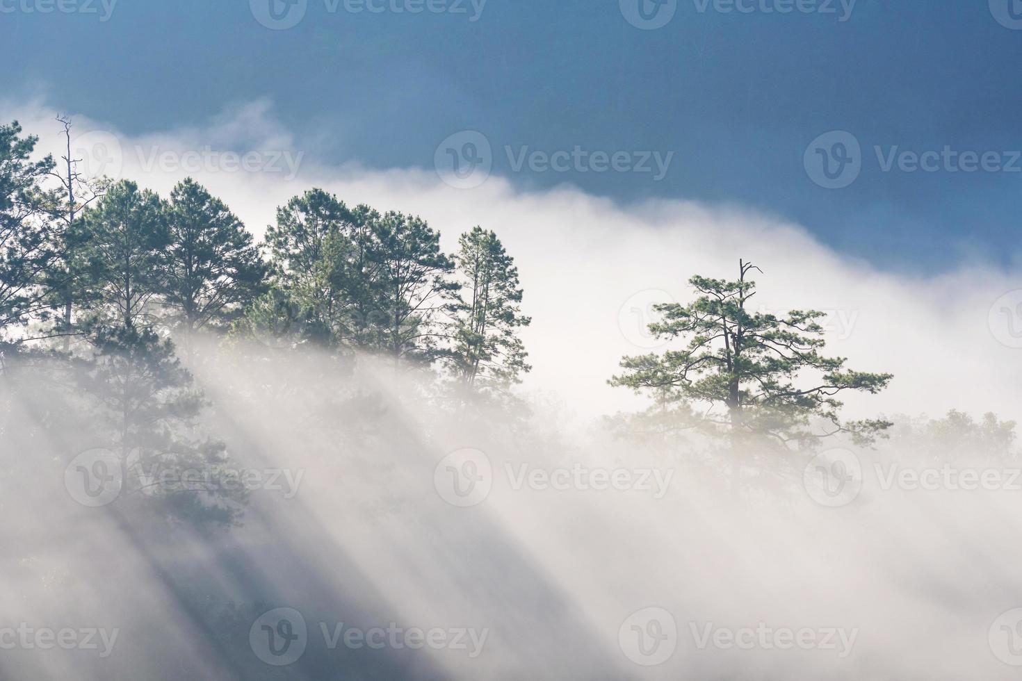Amazing mist moving over the nature mountains during sunrise at mountains area in Thailand. photo