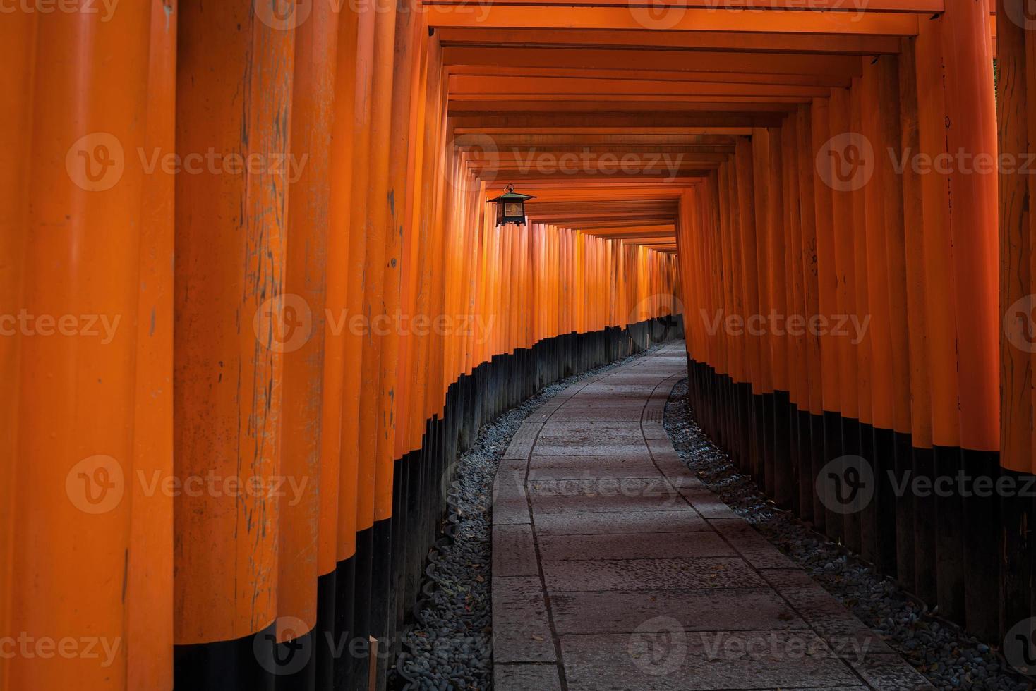 The red torii gates walkway path at fushimi inari taisha shrine the one of attraction  landmarks for tourist in Kyoto, Japan photo