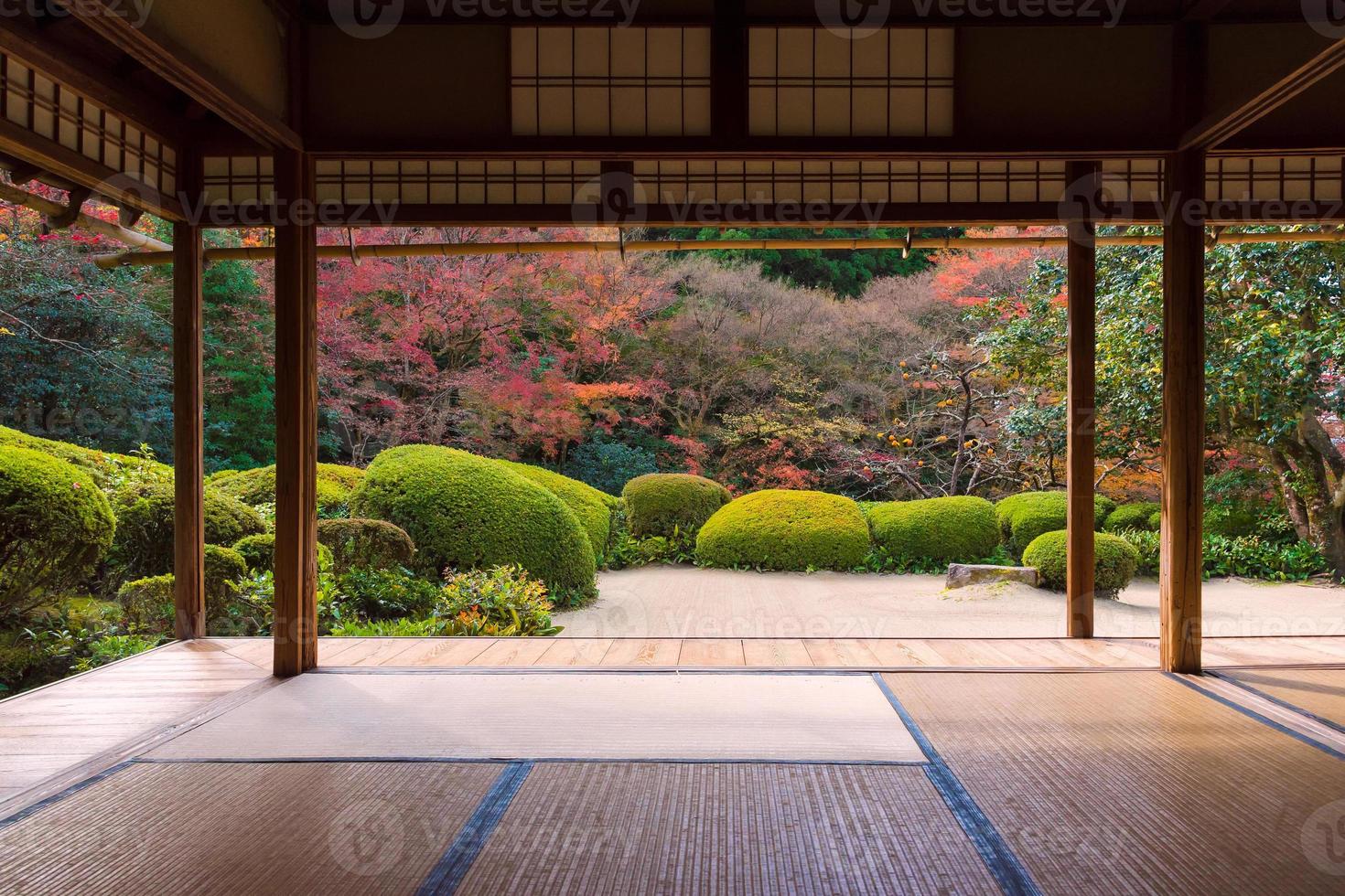 Beautiful nature colourful tree leaves in Japanese zen garden in autumn