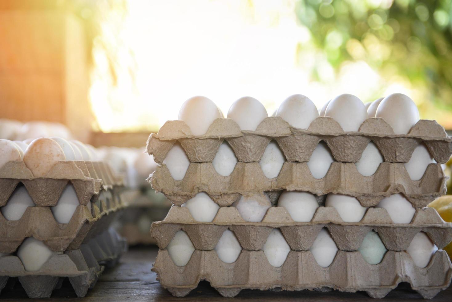 Huevo de pato o caja de huevo blanco: producir huevos frescos de la granja agricultura orgánica foto