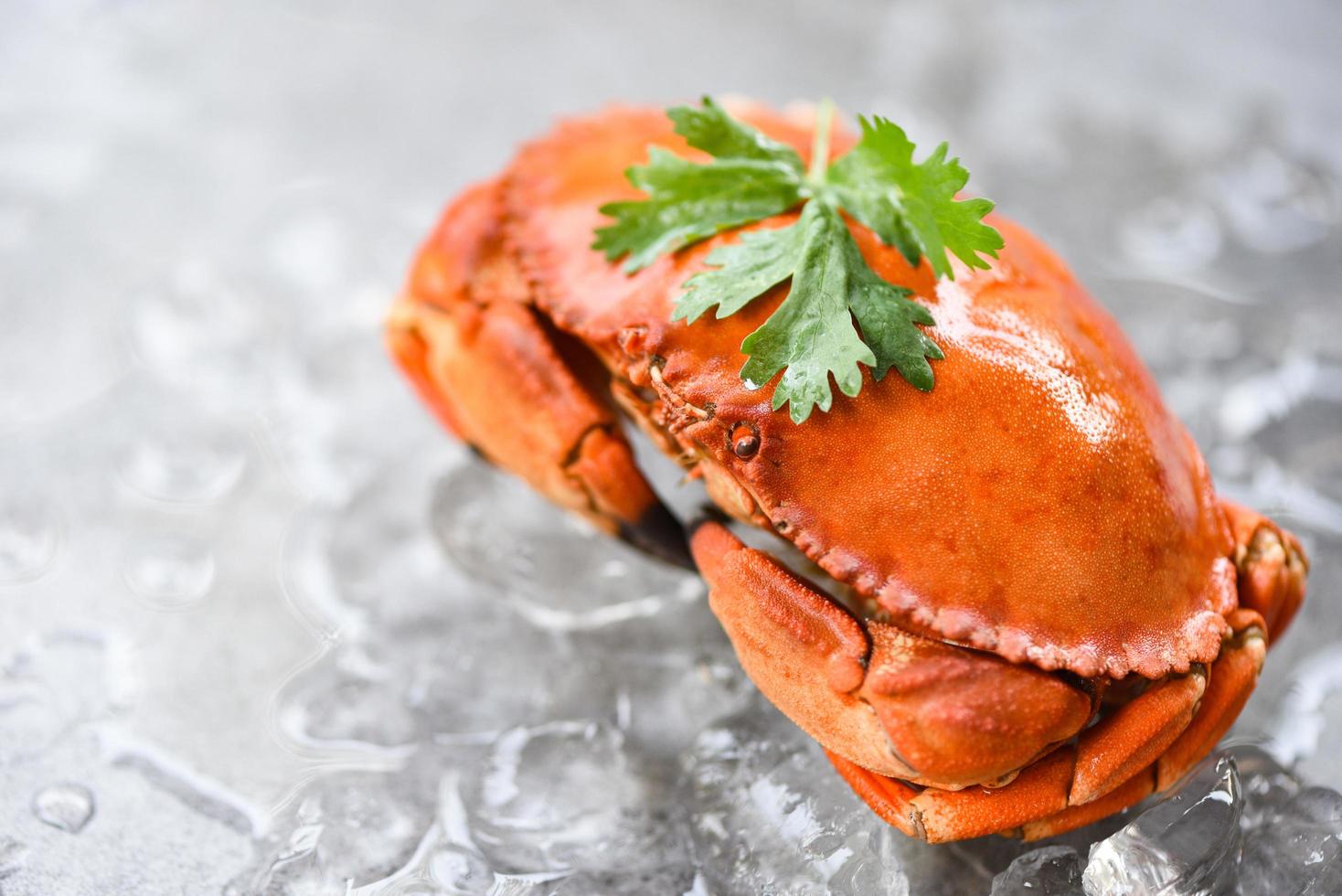 Fresh crab on ice background - Cooked crabs seafood photo