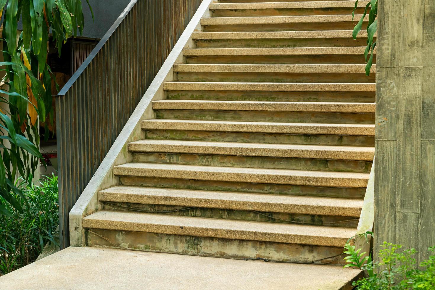 stair step with tropical tree photo