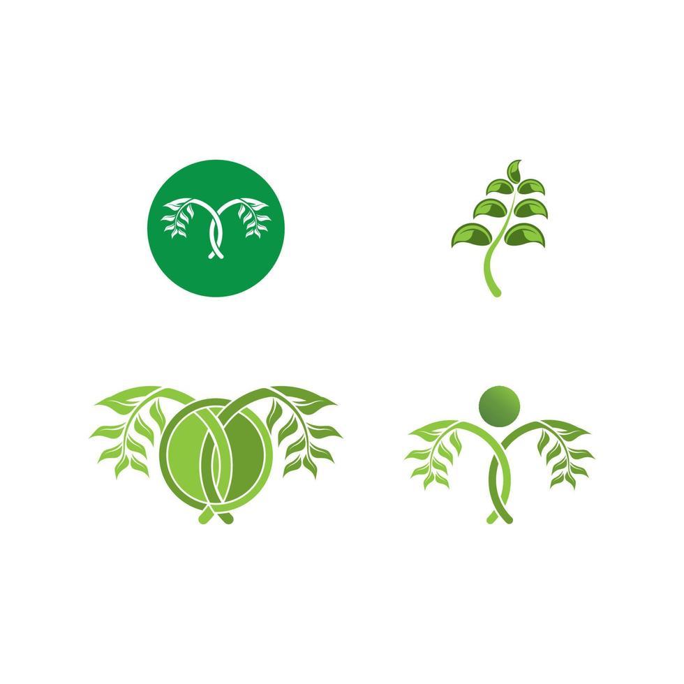 Logos of green Tree leaf ecology vector