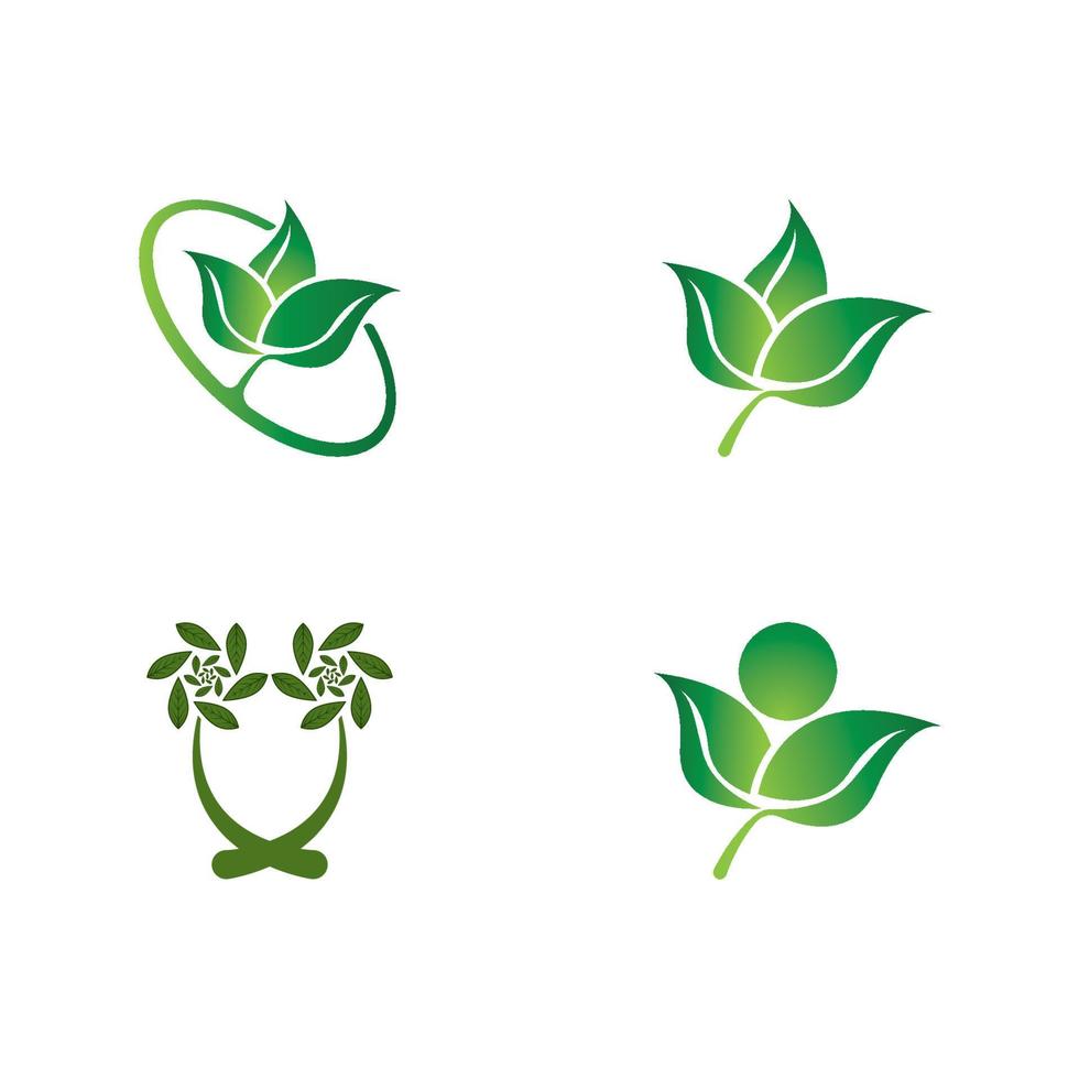 Logos of green Tree leaf ecology vector