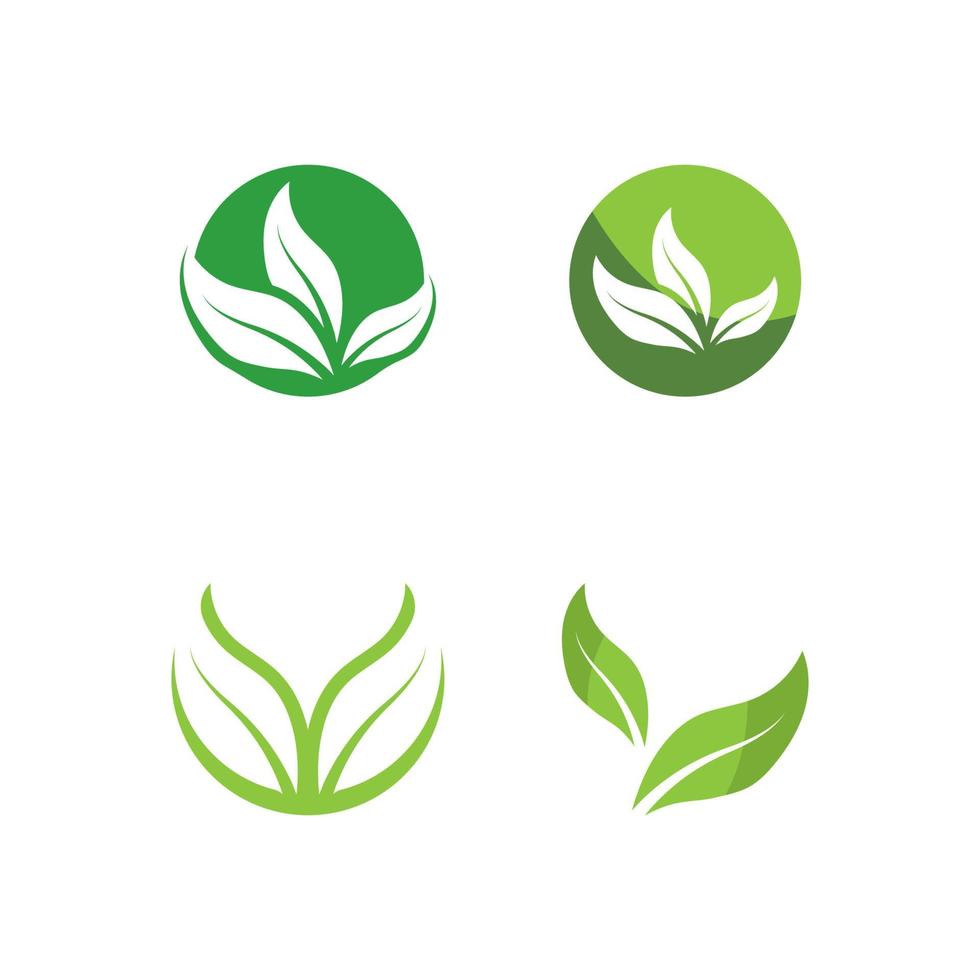 logotipos de la ecología de la hoja del árbol verde vector