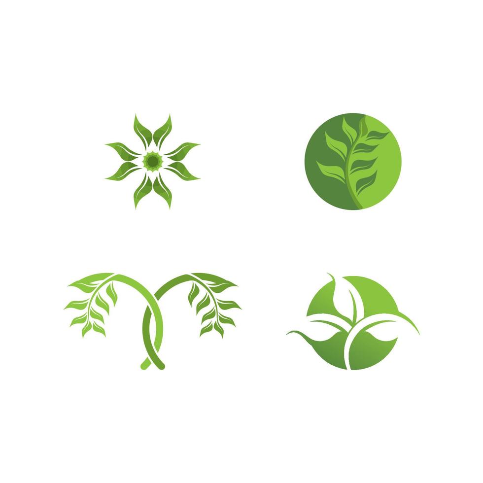 logotipos de la ecología de la hoja del árbol verde vector