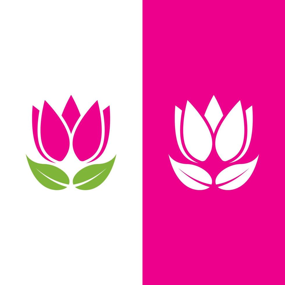 Beauty Vector lotus flowers