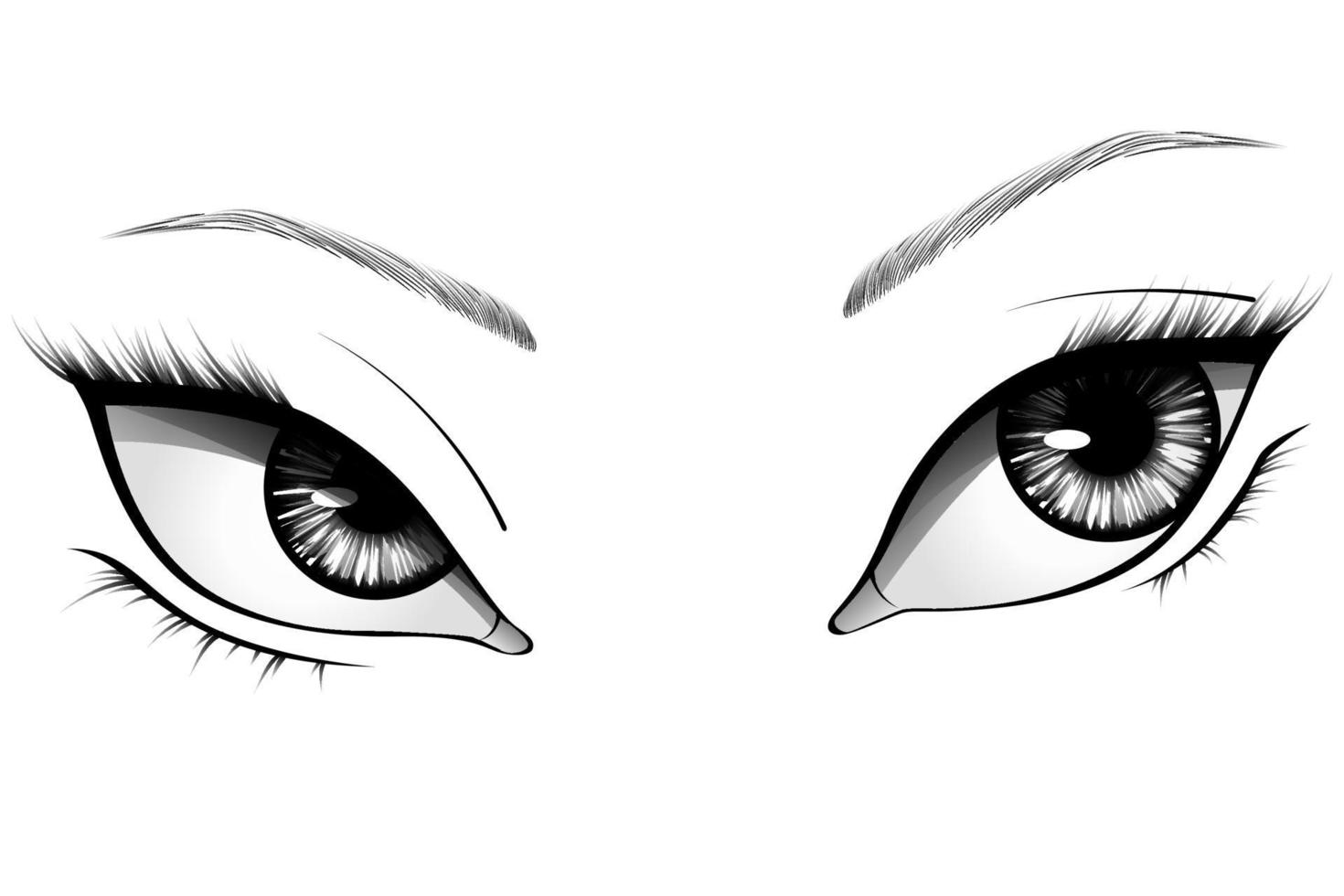 Ojos de mujer de dibujos animados dibujados a mano con iris detallado, cejas y pestañas. ilustración vectorial de tipografía vector
