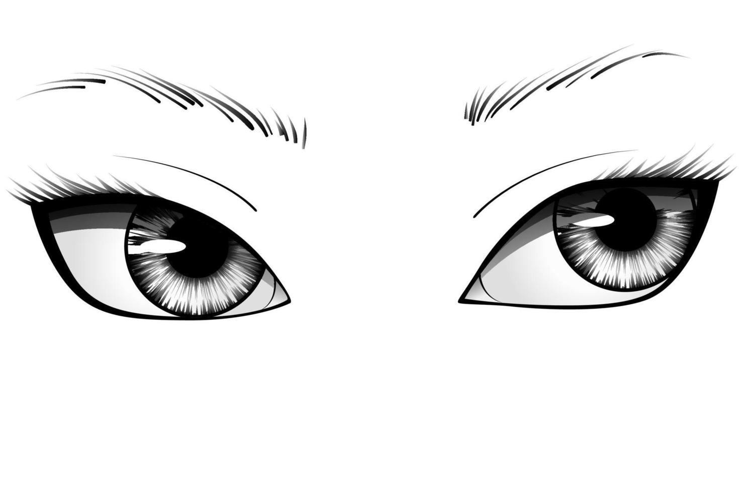 Ojos de mujer de dibujos animados dibujados a mano con iris detallado, cejas y pestañas. ilustración vectorial de tipografía vector