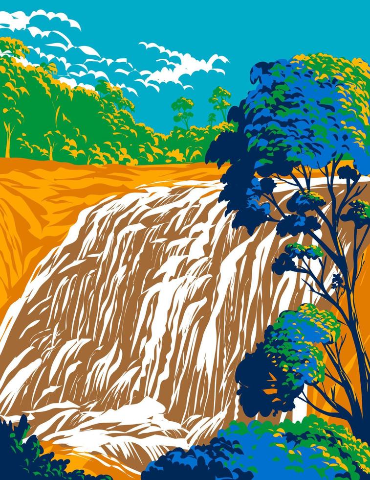 canasta pantano parque nacional con canasta pantano cae en tenterfield nueva gales del sur australia wpa poster art vector