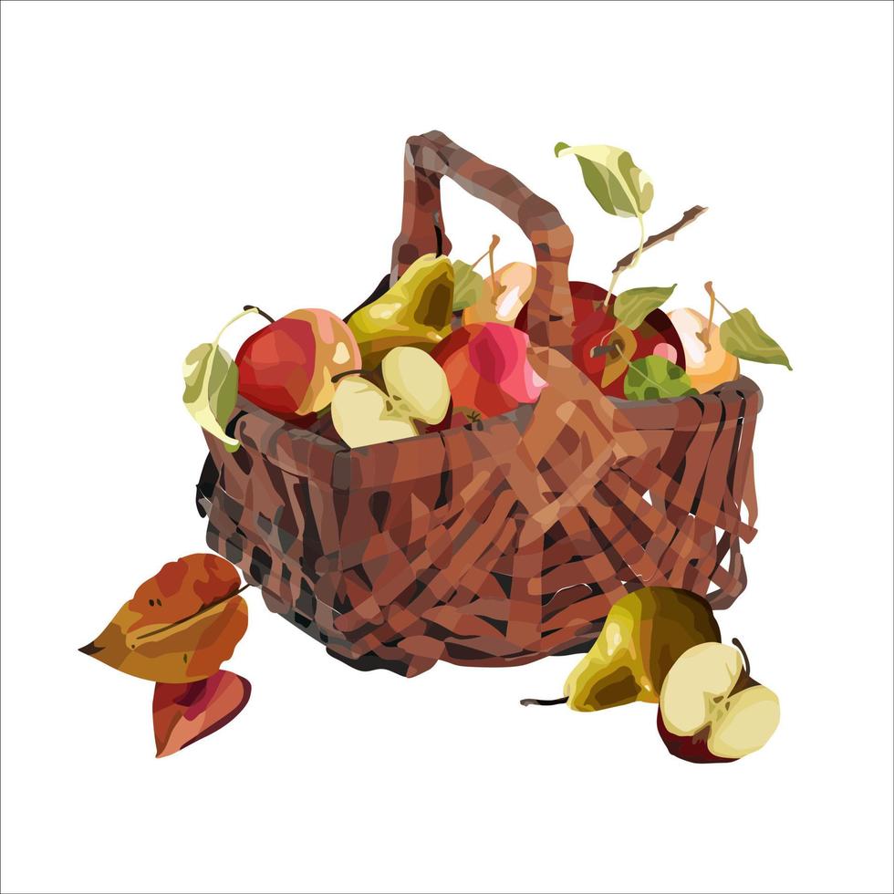 Vector basket of ripe apples. Autumn design of crops, fruits, agriculture