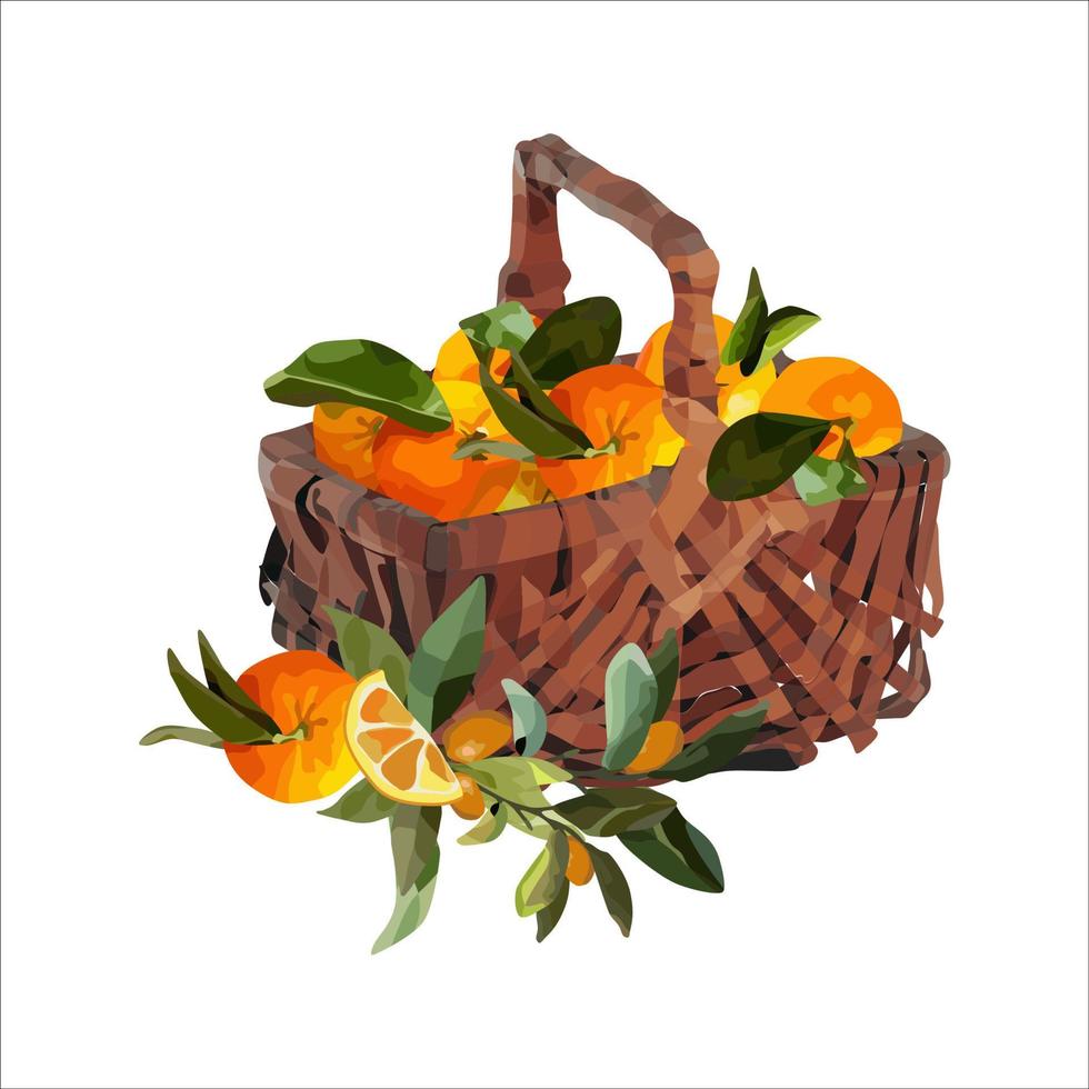 vector cesta de naranjas maduras. diseño de otoño de cultivos, frutas, agricultura.