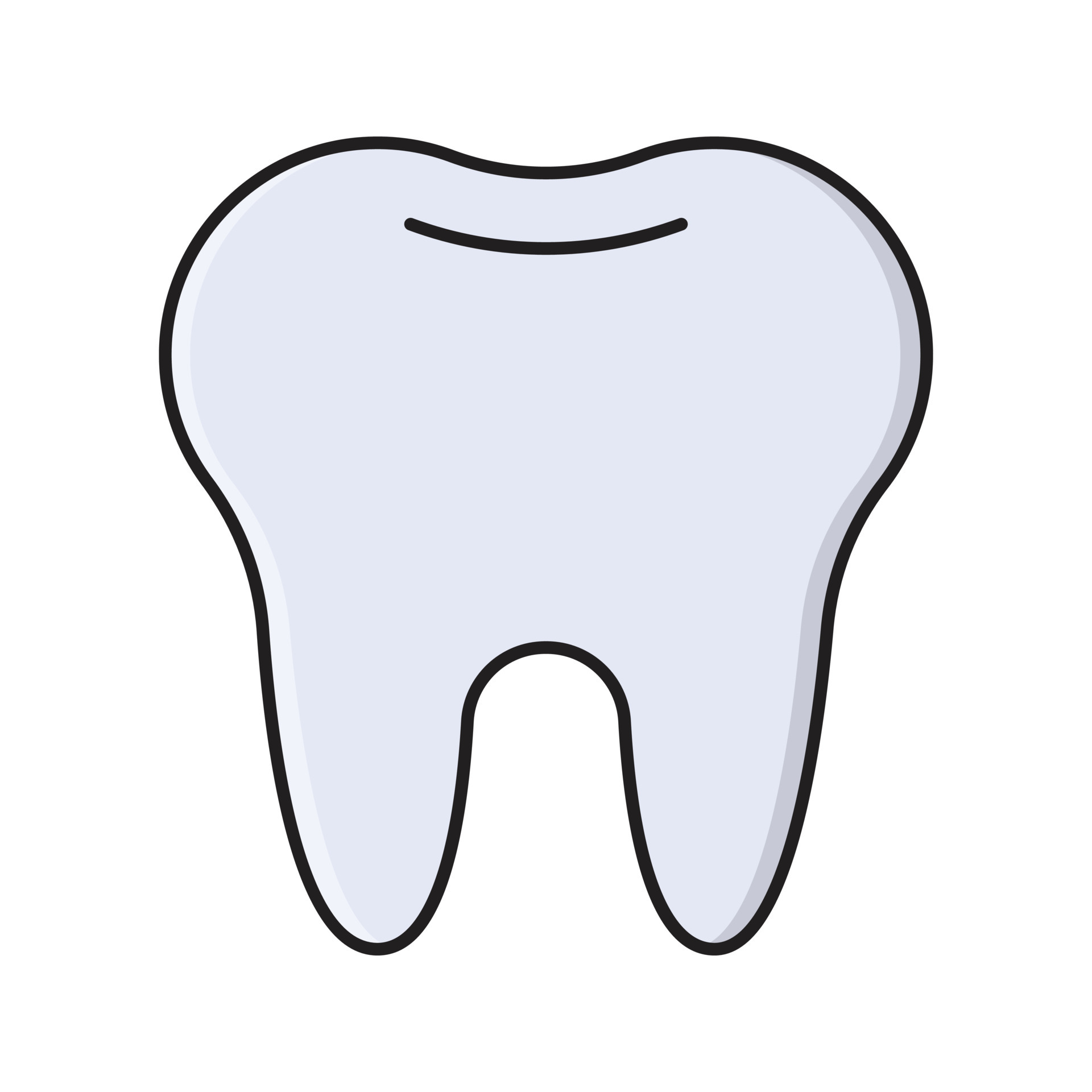 teeth Vector illustration on a transparent background. Premium quality