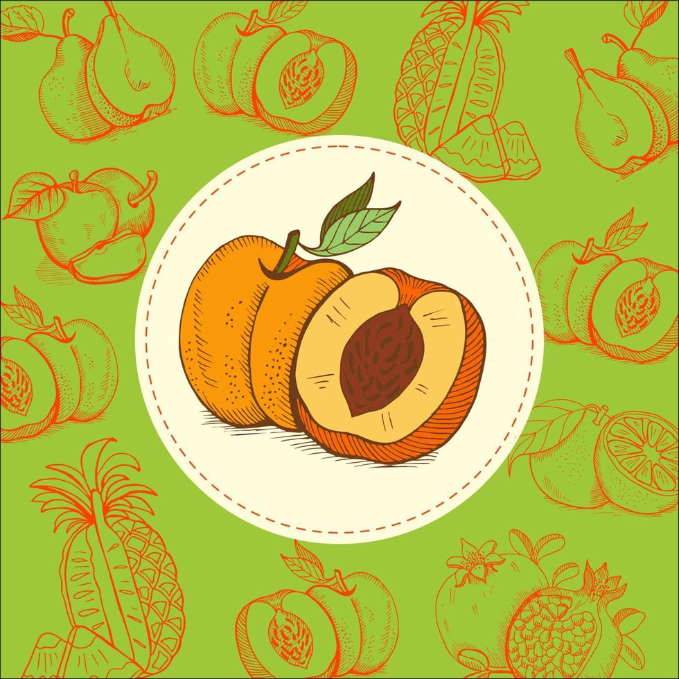 jugo de durazno. melocotones ilustración vectorial. la fruta está dibujada a mano. Ilustración de vector dibujado a mano.