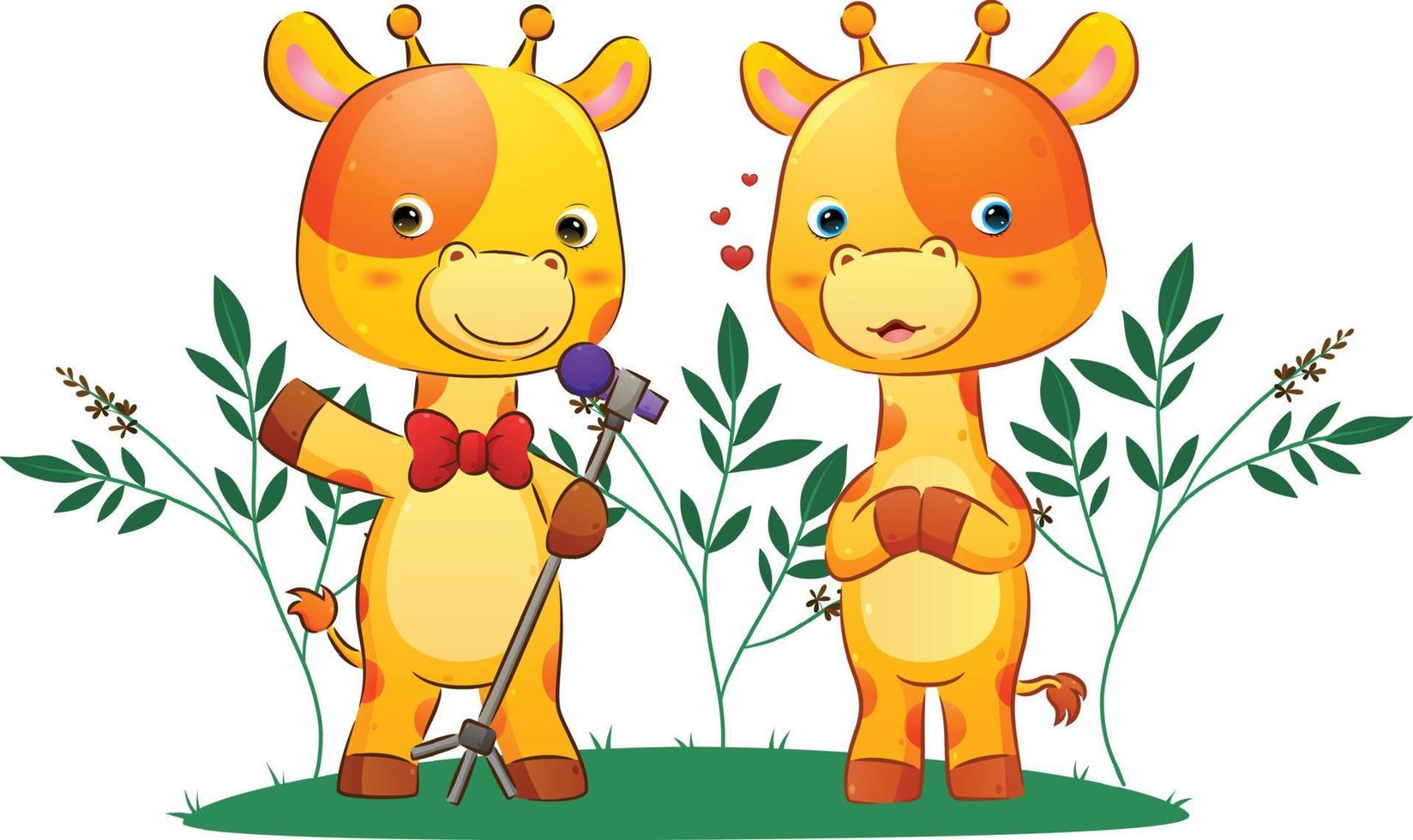 The couple of singer giraffe is singing together in the park vector