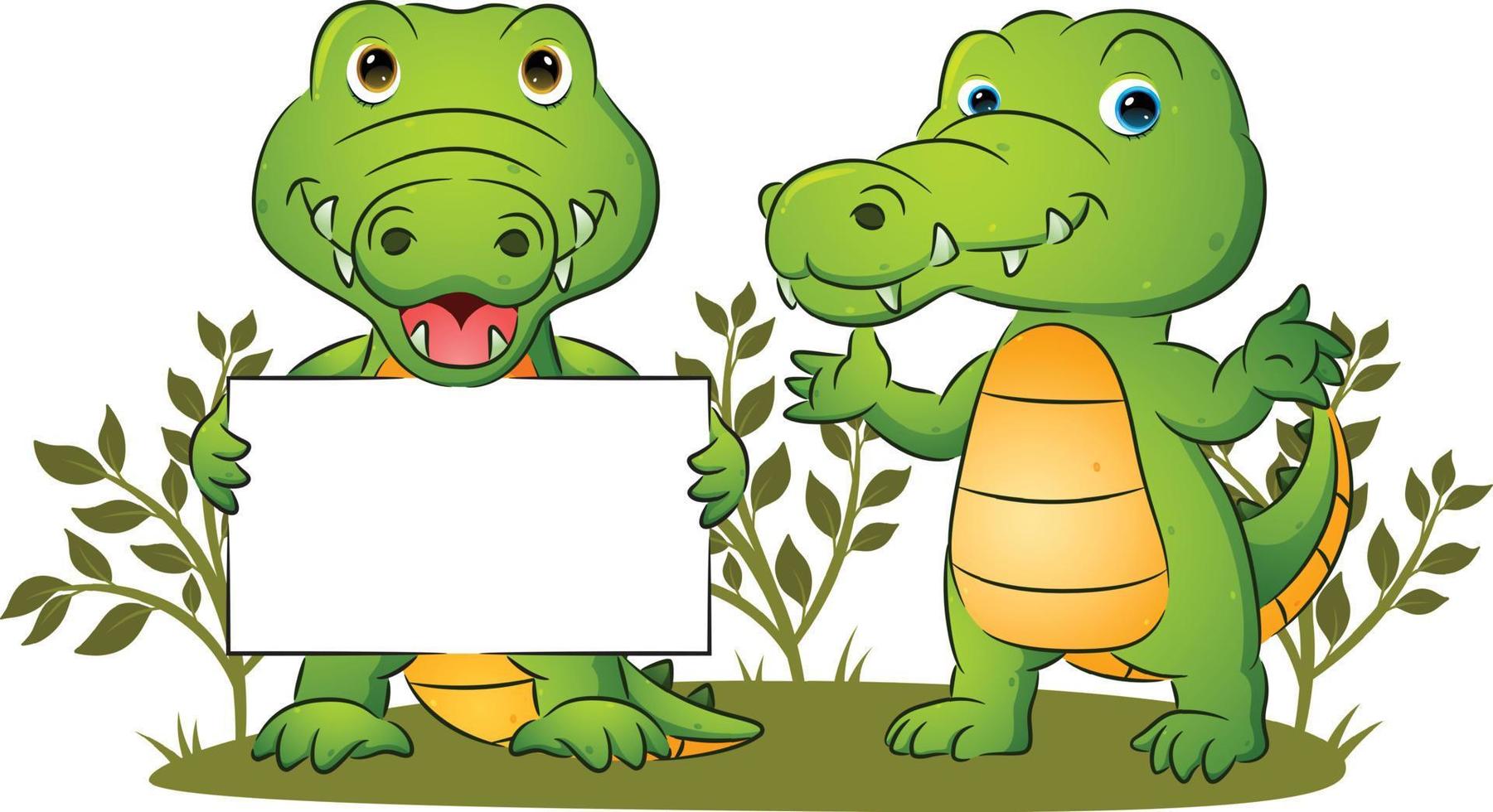 The couple of the cute crocodile is holding a blank banner and presenting in the garden vector