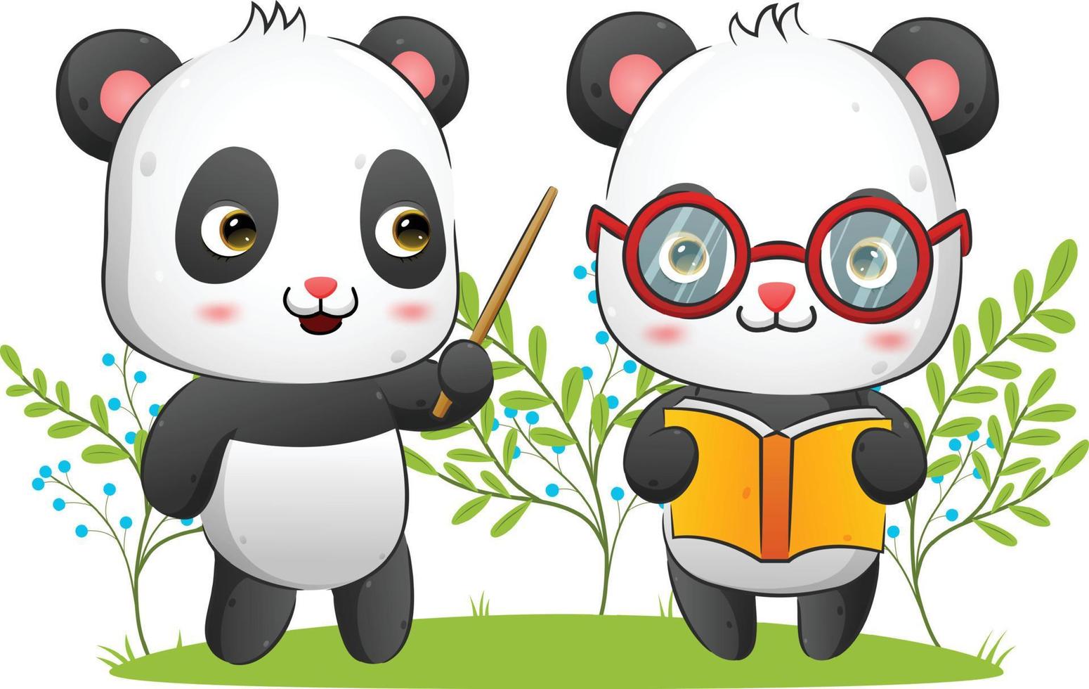 The couple of panda is holding a book while the teacher gives the theory vector