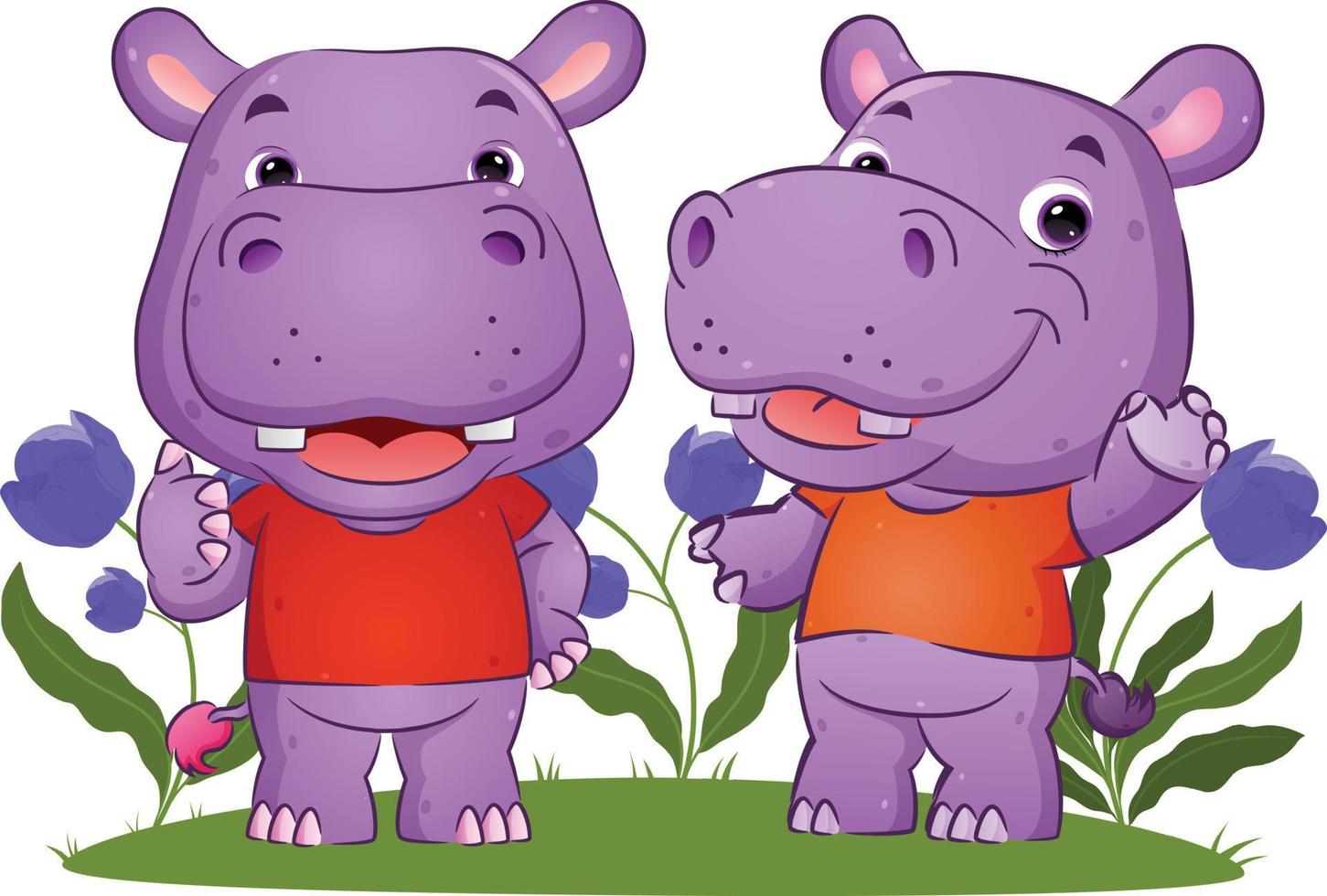 The couple of hippopotamus is talking together and gesturing something vector