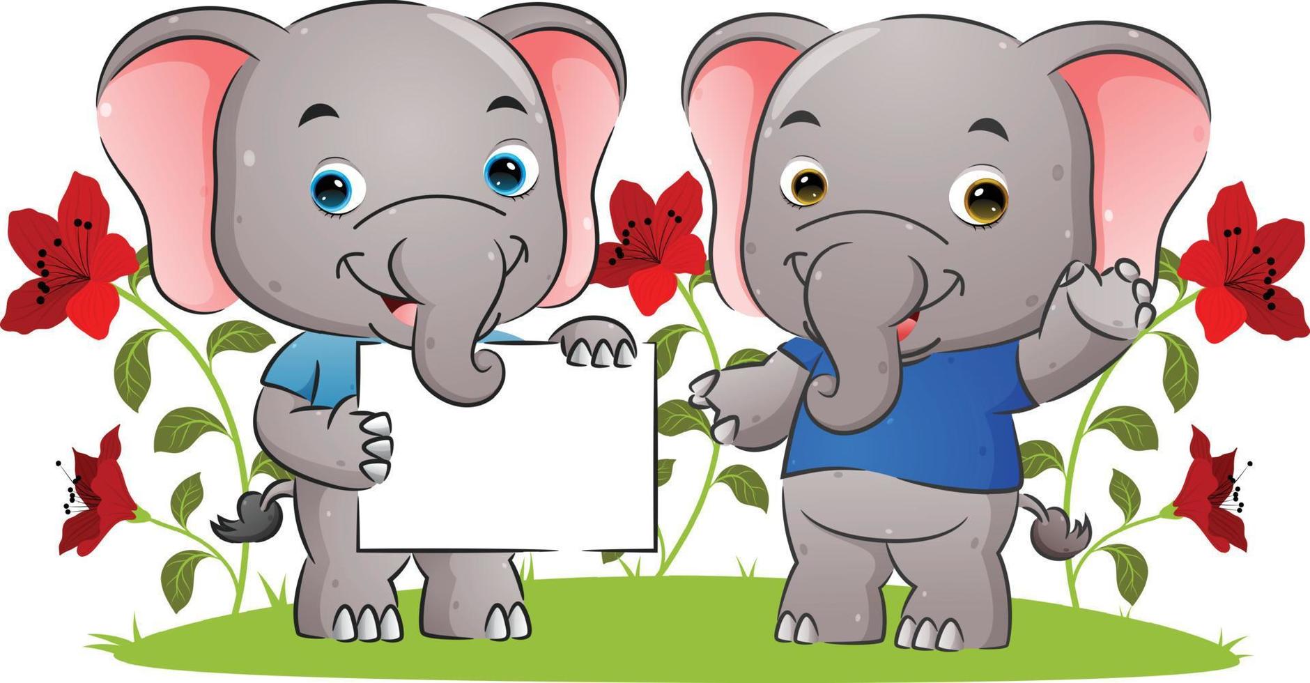 la pequeña pareja de elefantes sostiene un cartel en blanco y presenta en el jardín vector