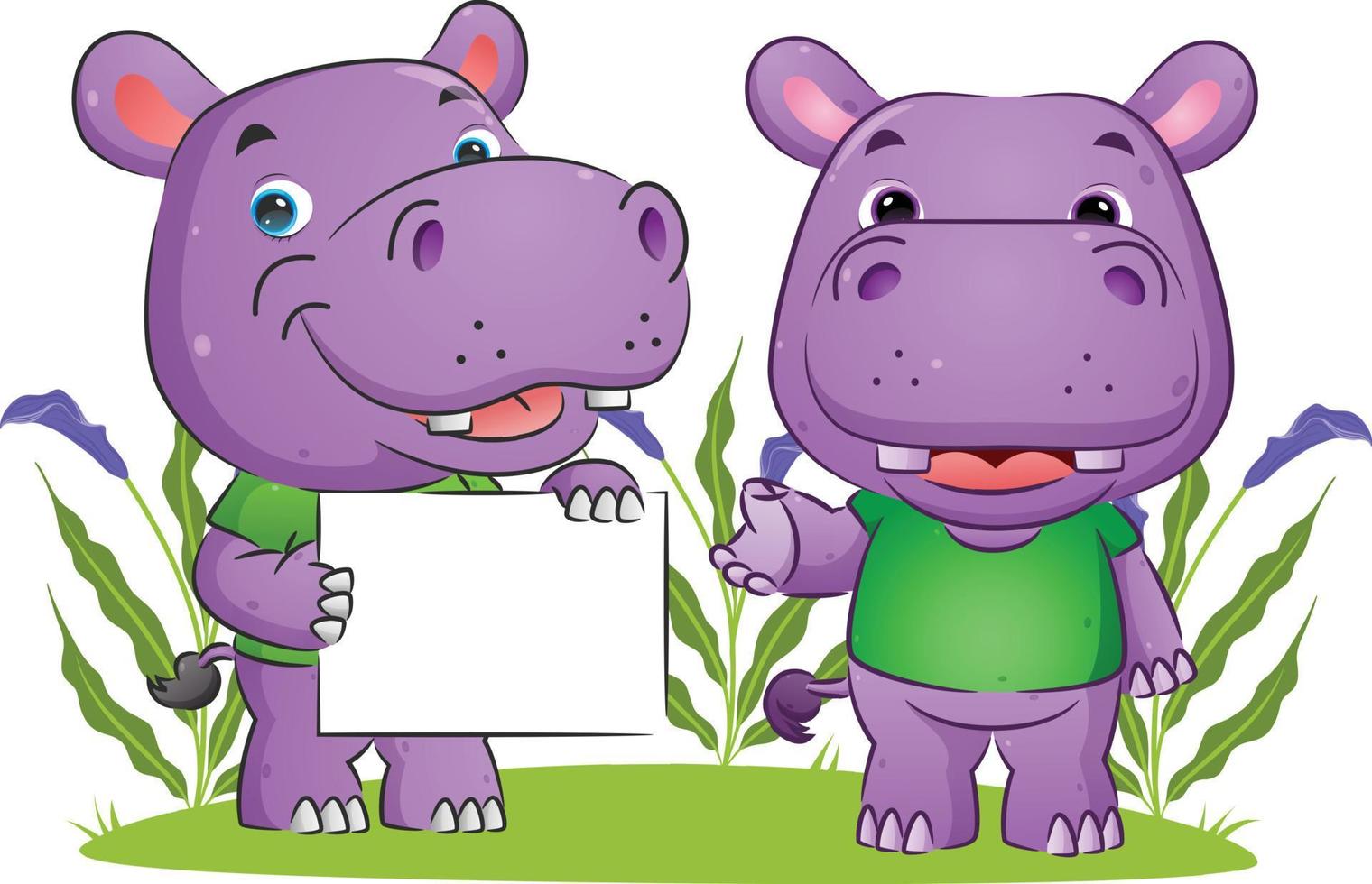 The couple of hippopotamus is holding a blank board and explaining the board vector