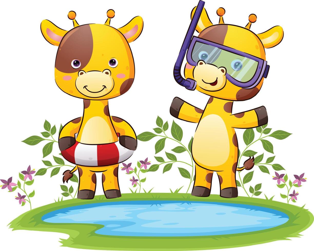 The happy couple of the giraffe is ready for swimming and diving in the pond vector