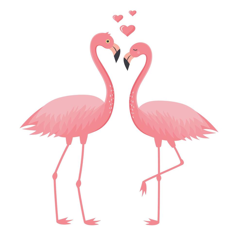 Couple of pink flamingos in love and hearts. Love and Valentine's day concept. vector