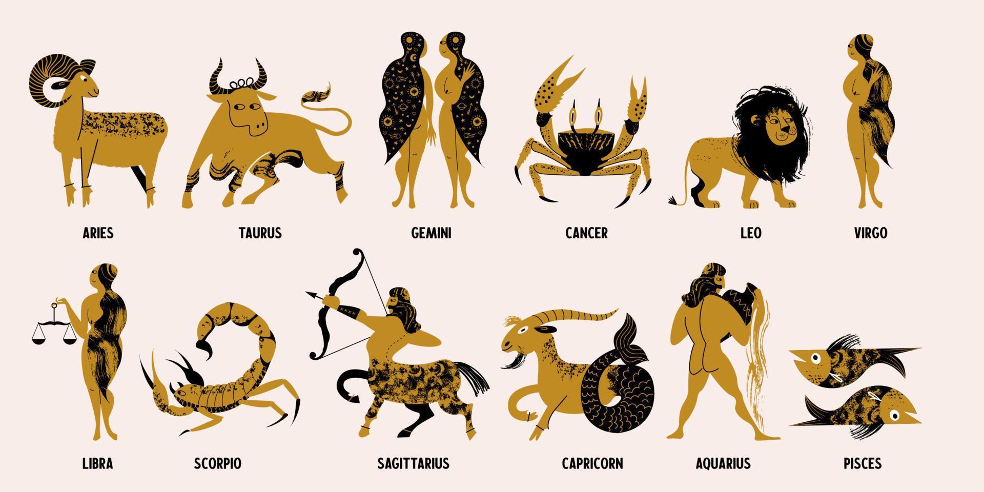 Collection of twelve Zodiac signs. Zodiac signs Aries, Taurus, Gemini,  Cancer, Leo, Virgo, Libra, Scorpio, Sagittarius, Capricorn, Aquarius,  Pisces. 4862579 Vector Art at Vecteezy