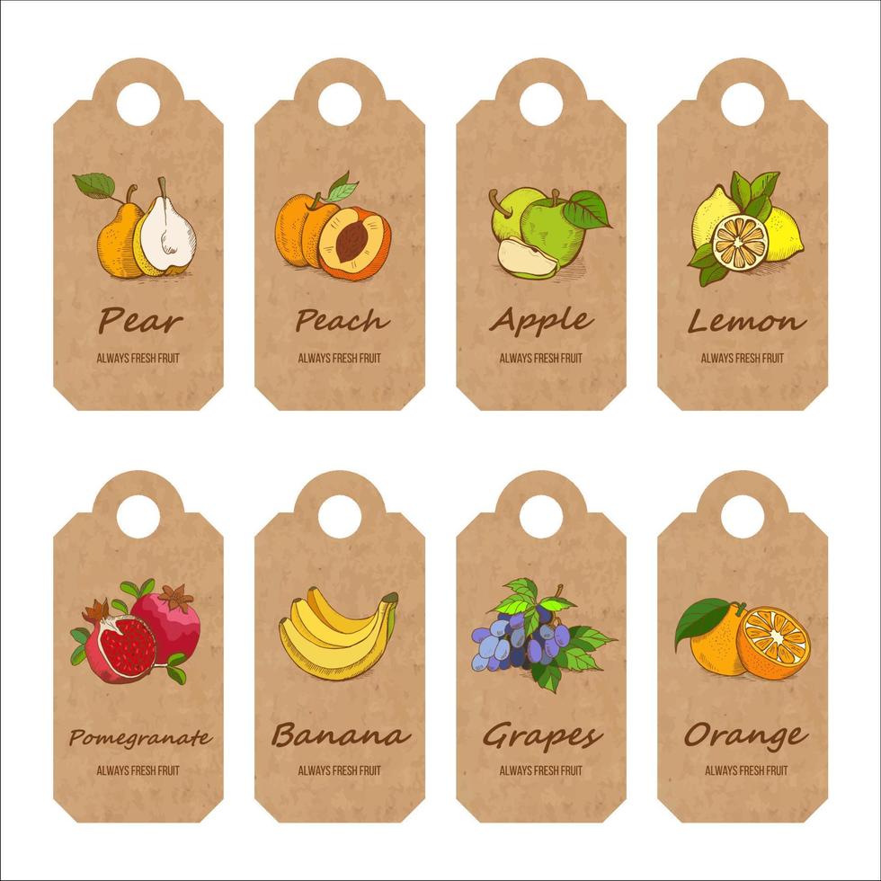 Fruits, handdrawn. Vector illustration. A set of tags out of kraft paper.