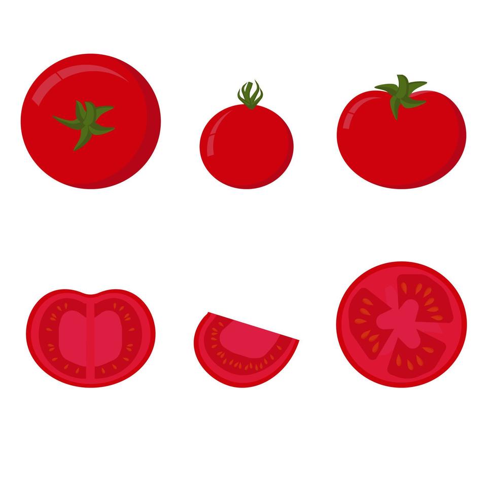 Conjunto de tomates rojos, vegetales enteros y la mitad, rodajas de tomate con semillas, ilustración de productos de ensaladas caseras vector