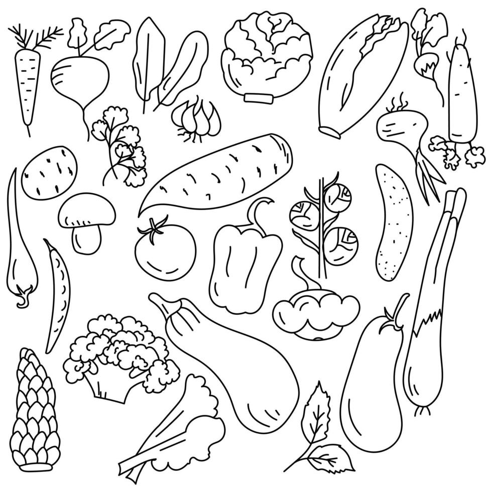 Set of contour doodle vegetable, a large number of useful products coloring page vector