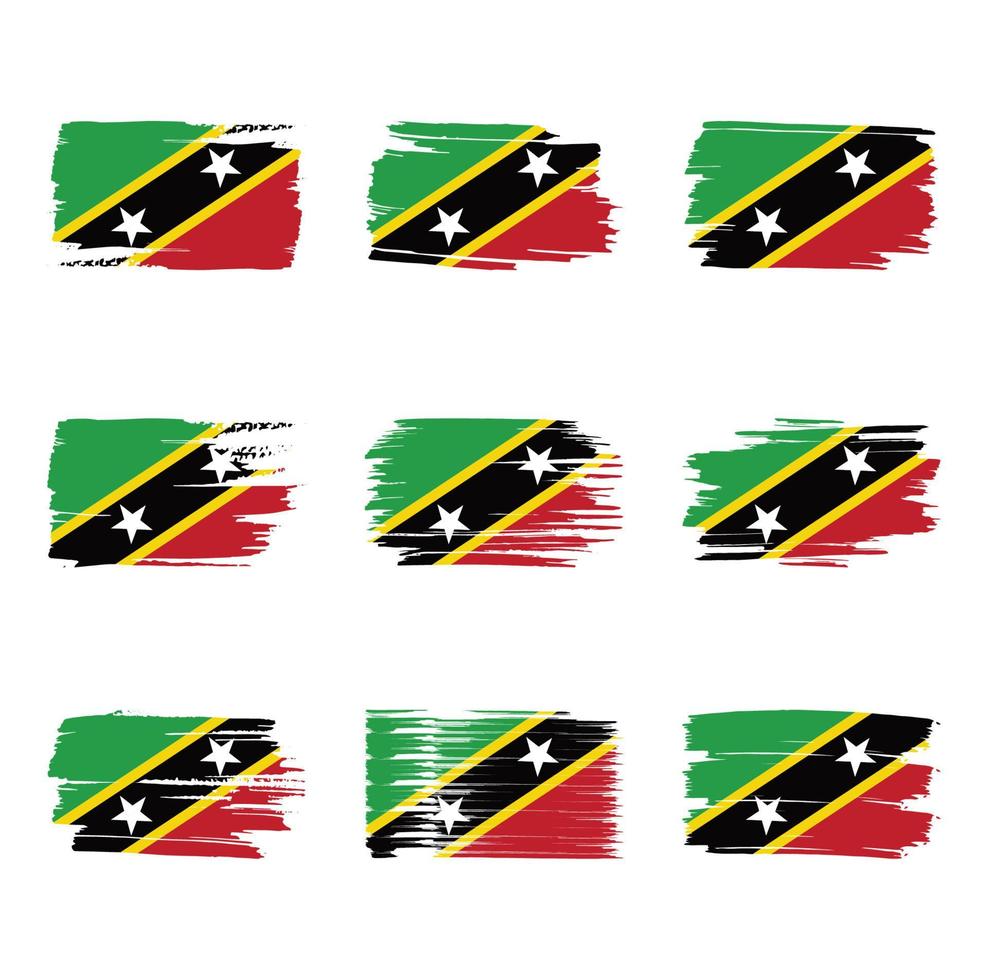 Saint Kitts and Nevis flag brush strokes painted vector