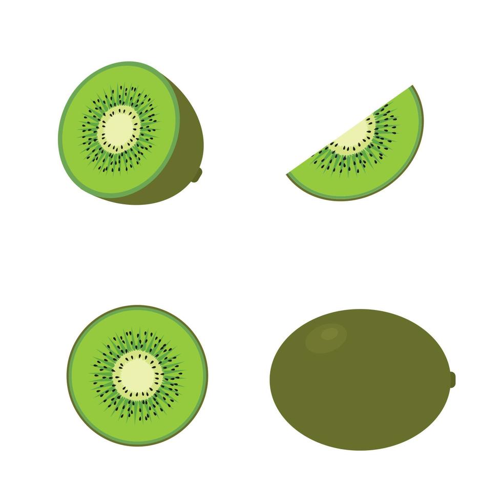 Set of four fresh kiwi different views whole, half, slice vector