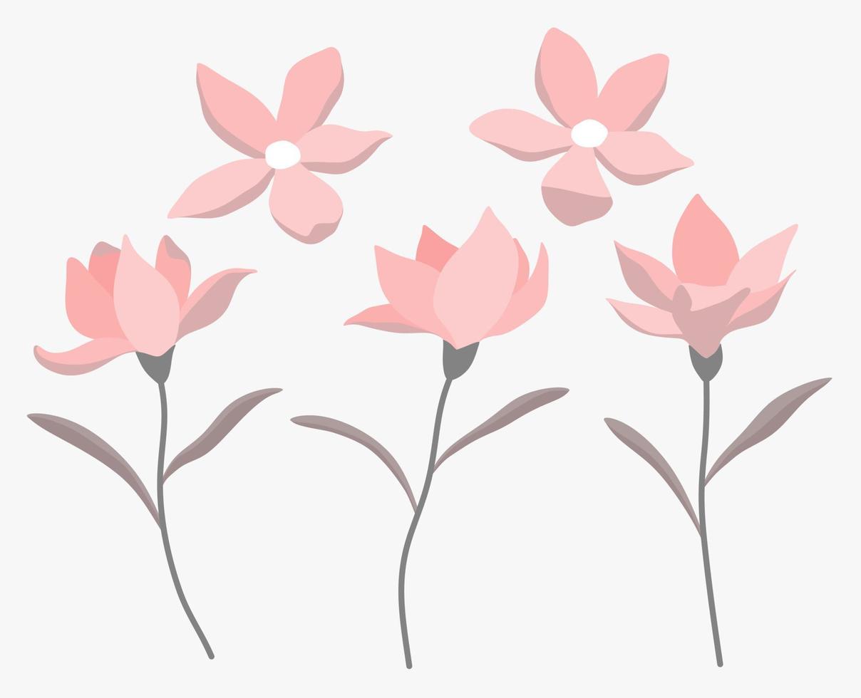 un conjunto de hermosas flores ilustración vector