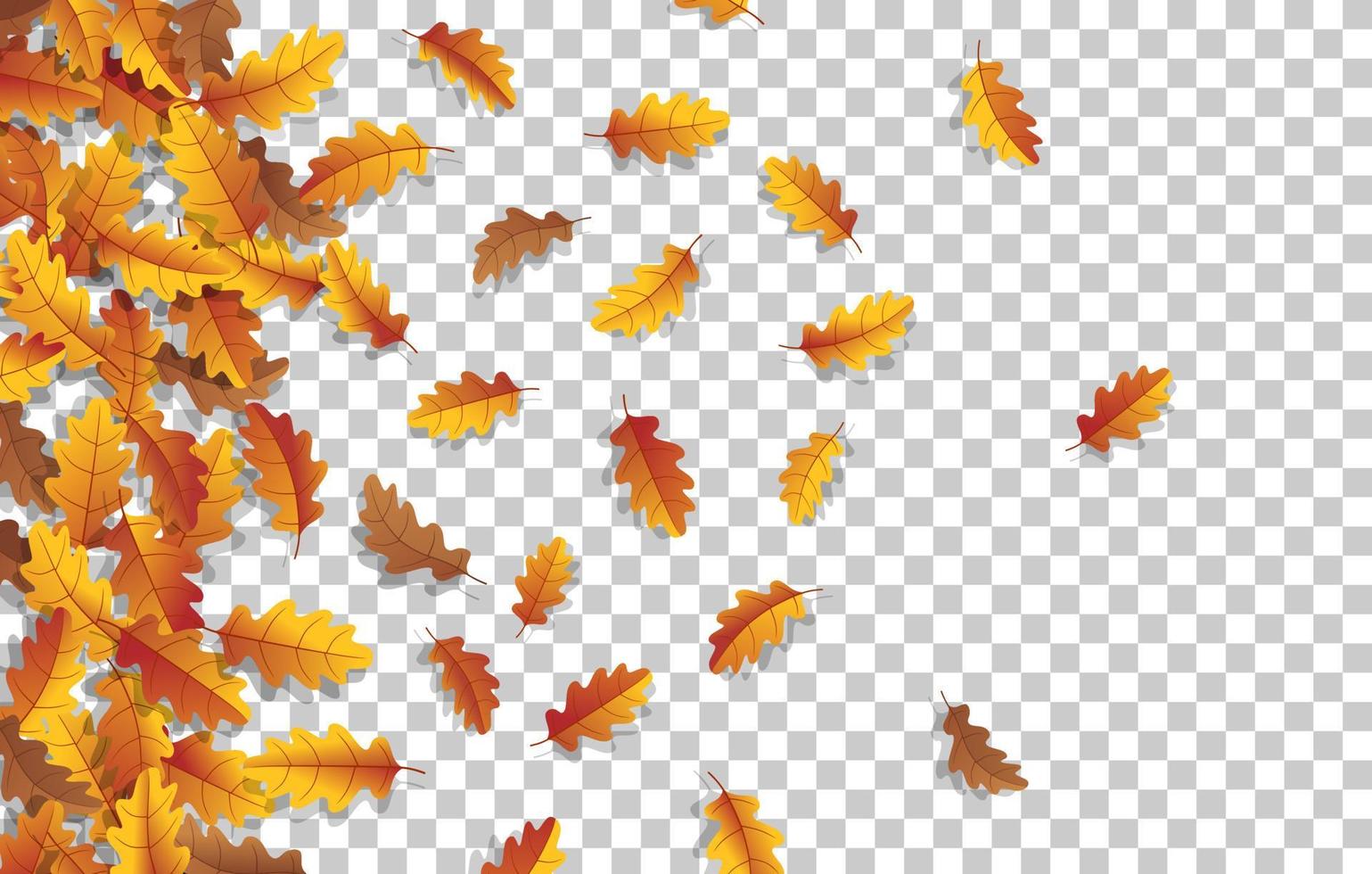 Autumn golden leaf frame template. Tree fallen autumn leaves isolated on white. October yellow foliage and autumnal nature leafage. Advertising autumn gold fall leaf with transparent background. vector