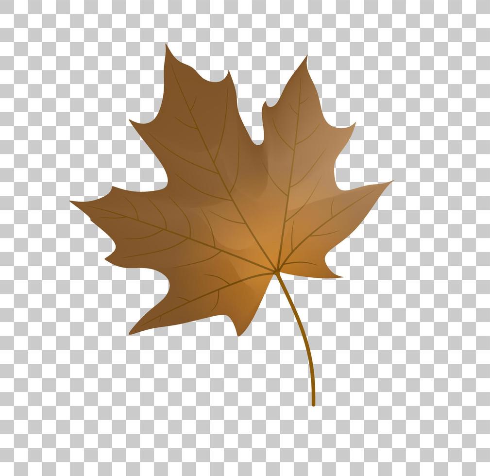 Autumn Maple Leaf. Cartoon of sickle vector icon for web design isolated on transparent background.