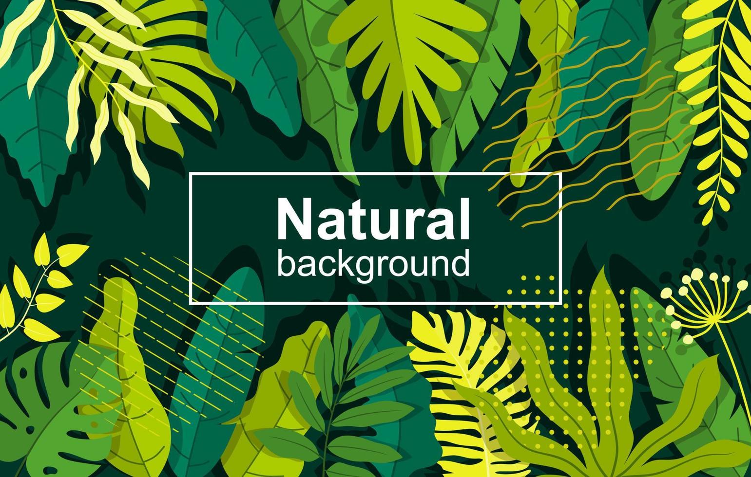 background with green leaves and square frame vector