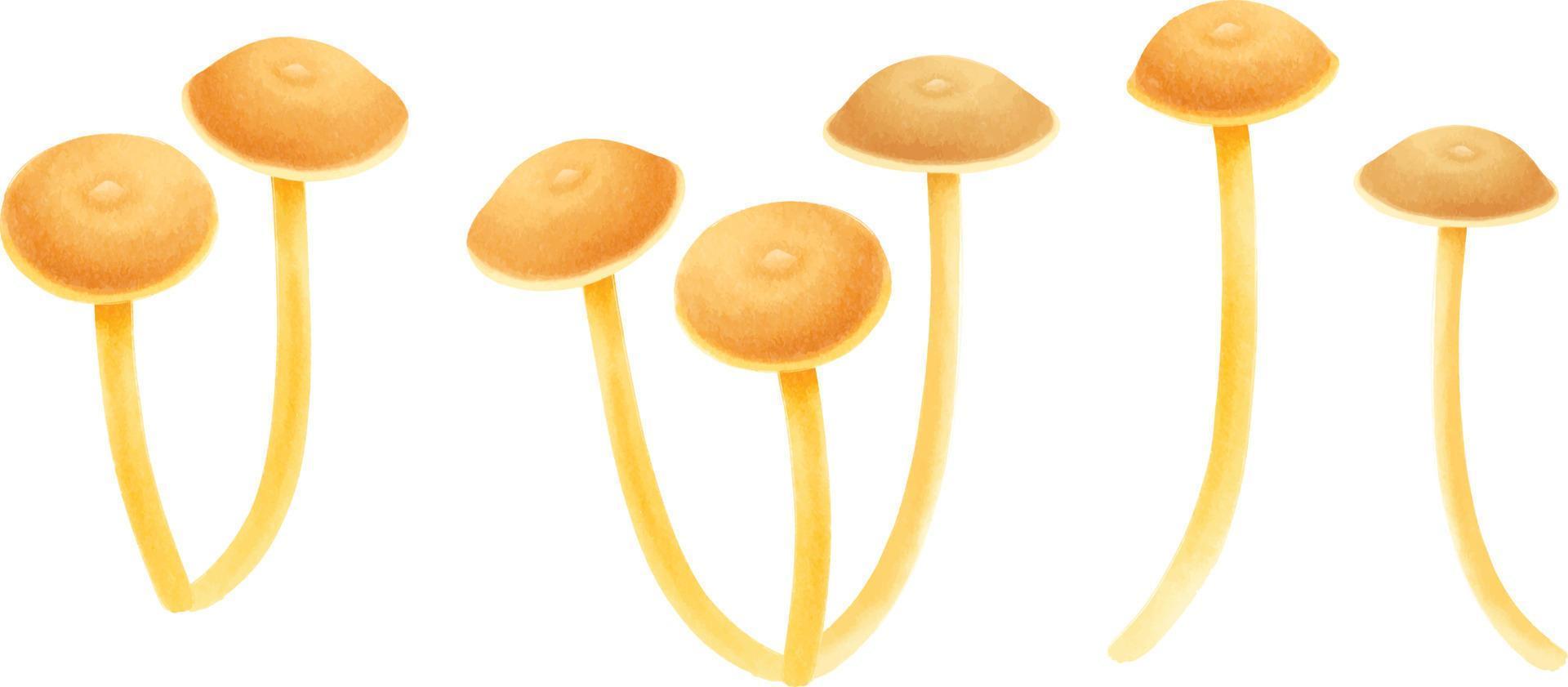 Mushroom illustration watercolor style collection vector