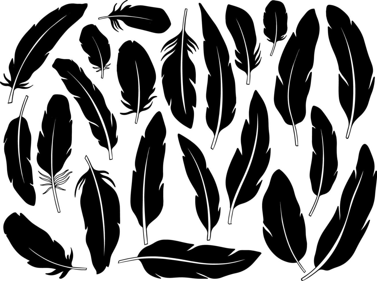 Feather boho set.Hand drawn style. vector