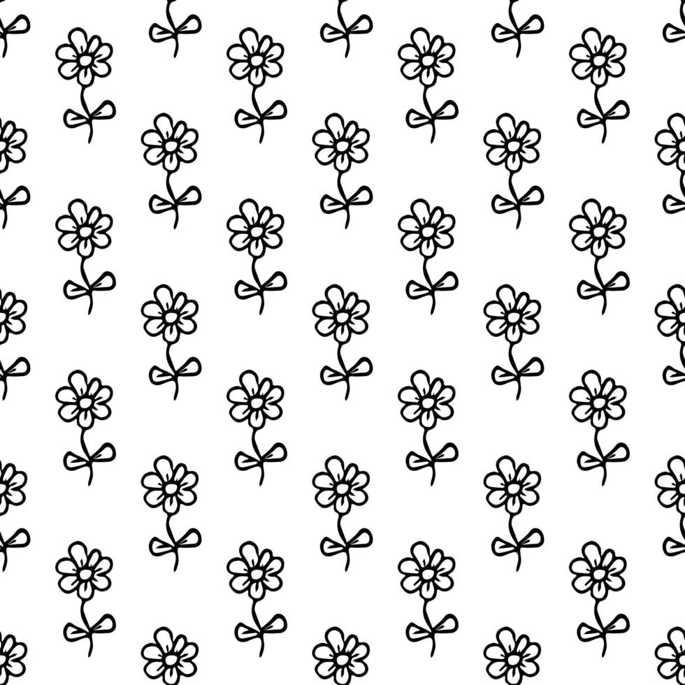 Seamless pattern with flowers. Floral background. Chamomile flowers isolated on white background vector