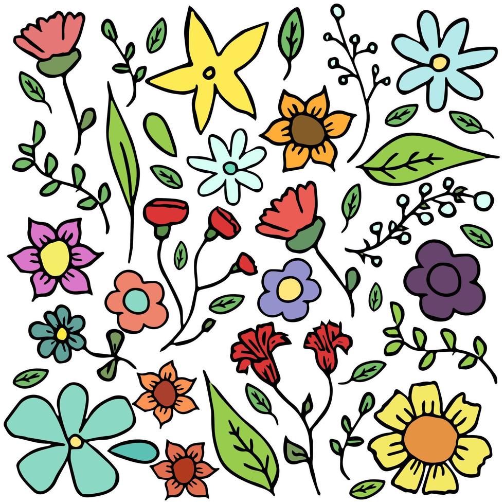 Pattern with flowers. Floral background.Colored flowers isolated on white background vector