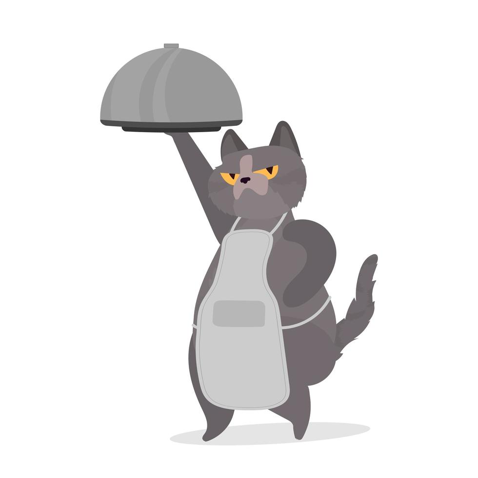 Funny cat holds a metal dish with a lid. A cat with a funny look. Good for stickers, cards and t-shirts. Isolated. Vector. vector