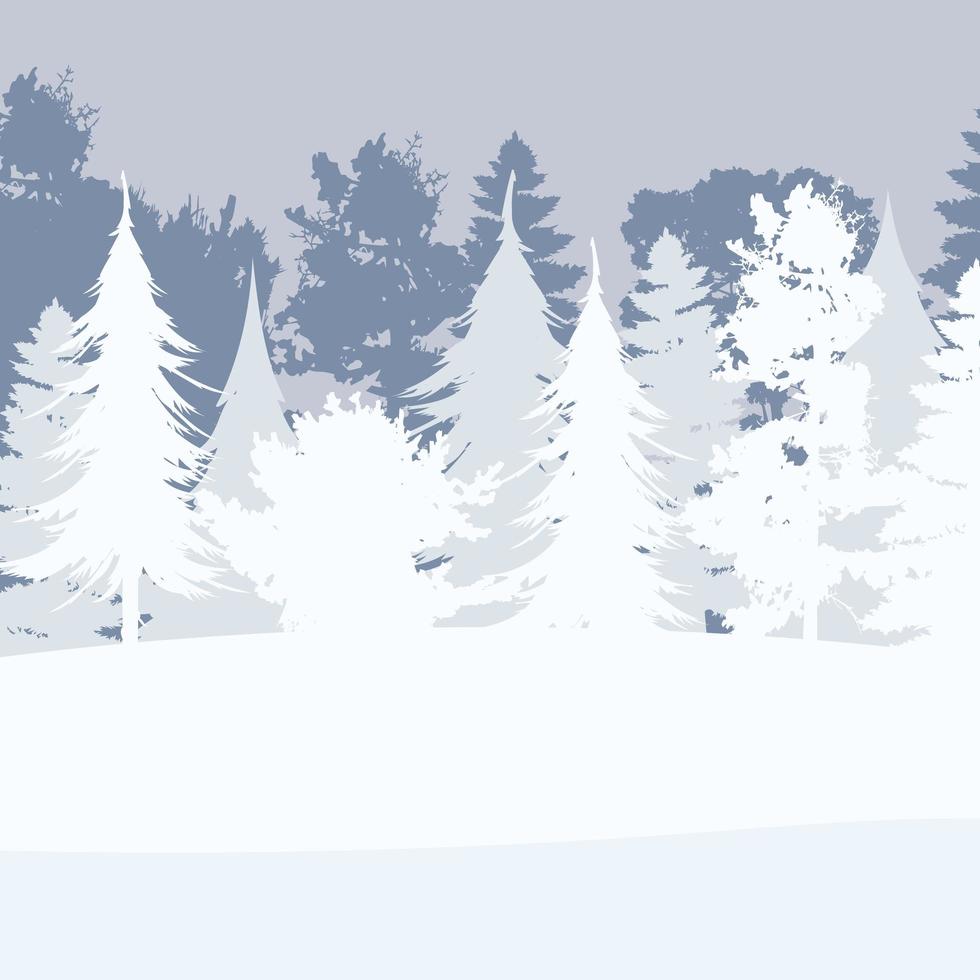 bosque nevado en un estilo plano. invierno en el fondo del bosque. postal cuadrada. ilustración vectorial. vector