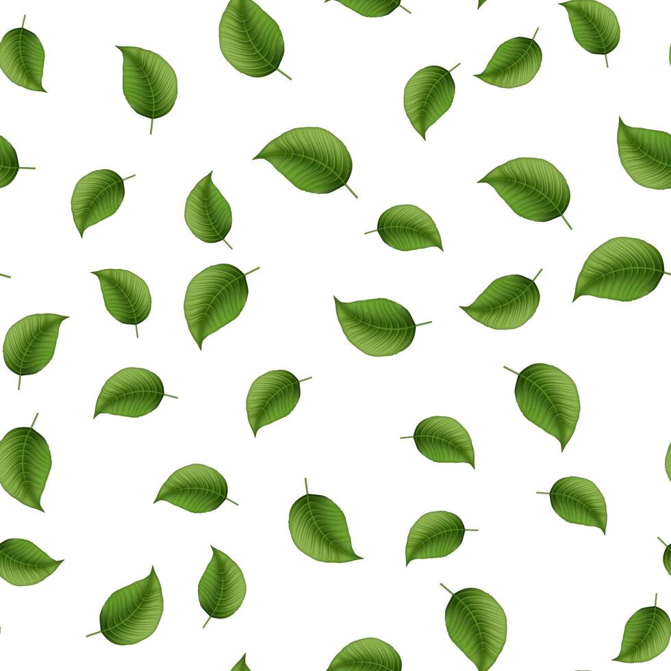 Seamless pattern with green realistic leaves. Good for menus, postcards, books, murals, and fabric. Vector illustration.