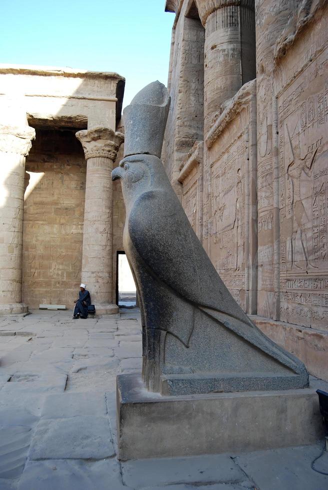 antigua estatua egipcia del dios horus en el templo de edfu. nubia, egipto foto