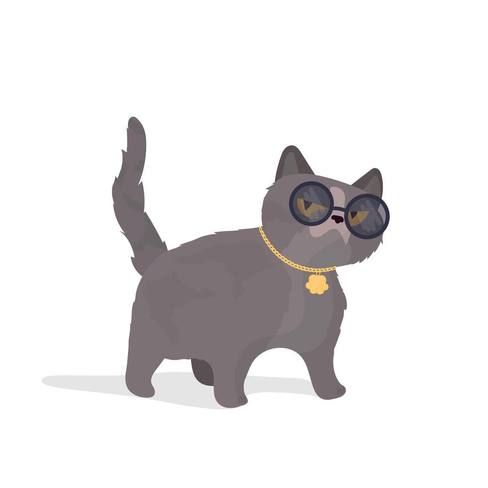 gato gracioso con gafas. pegatina de gato con mirada seria. bueno para pegatinas, camisetas y postales. aislado. vector. vector