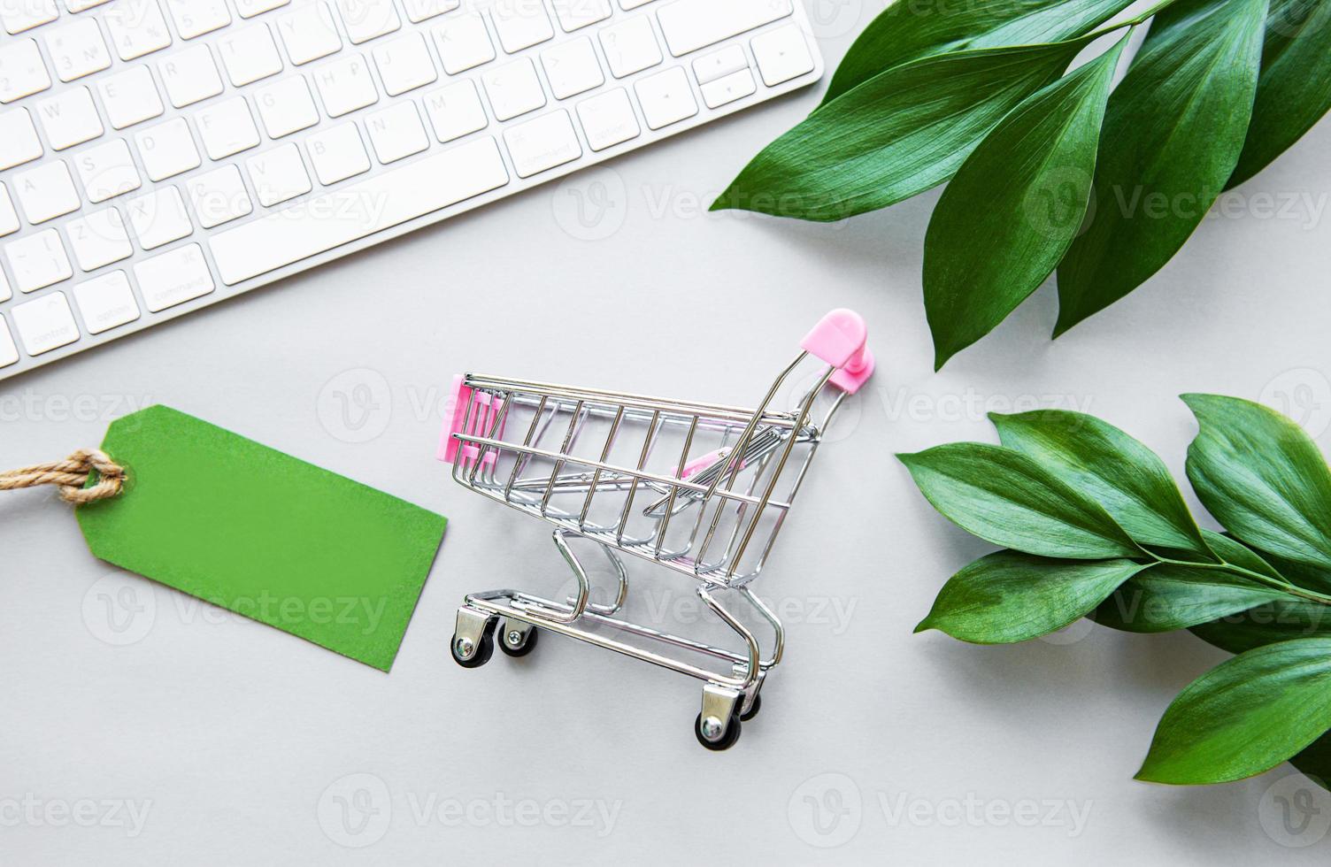 Online shopping concept photo