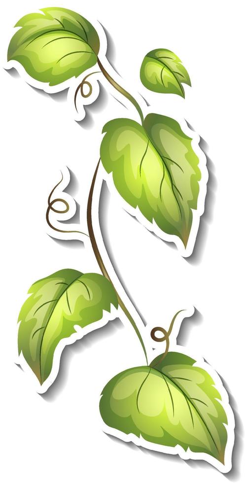 Tropical leaves brush sticker on white background vector