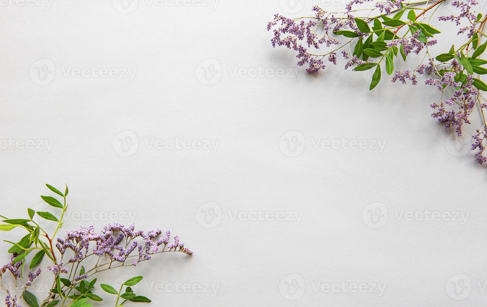Dried flowers on a white background 4870101 Stock Photo at Vecteezy